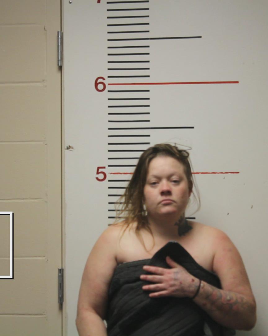 BERRYHILL, CANDACE DEANN booking photo