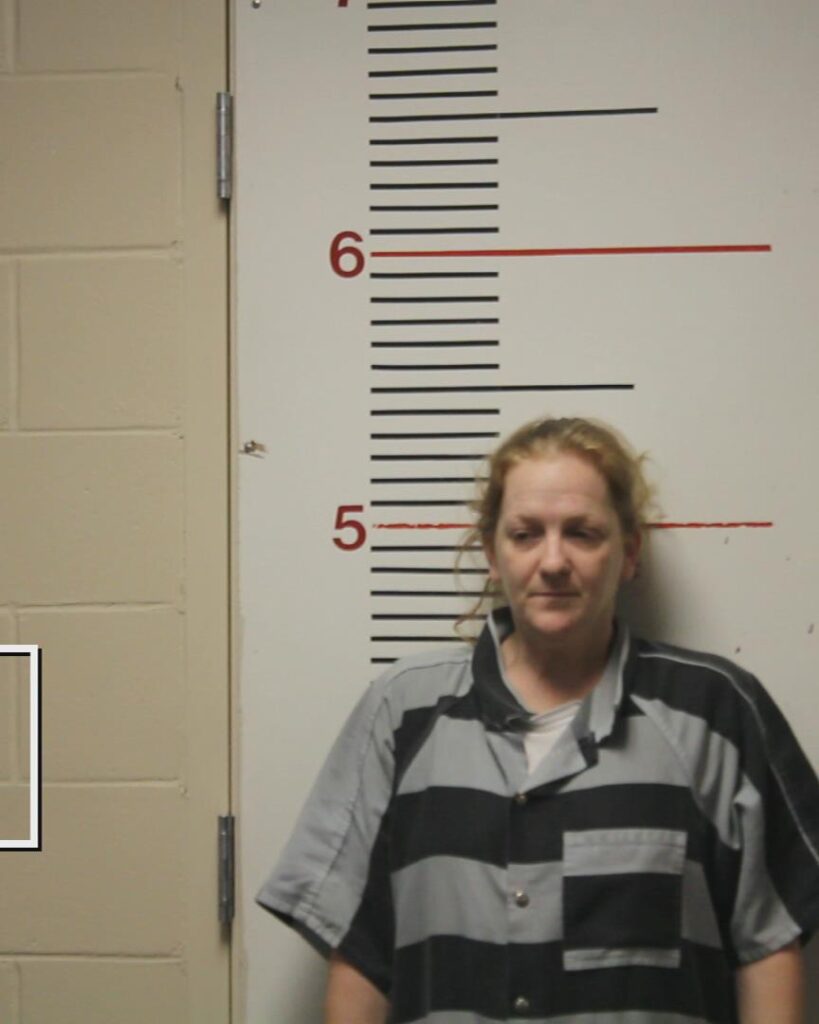 CHEEK, KACIE JANAE booking photo