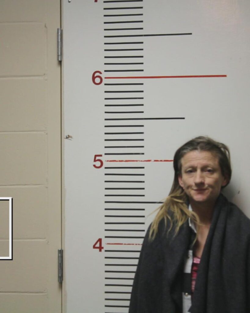 MERRELL, SHEILA RENEE booking photo