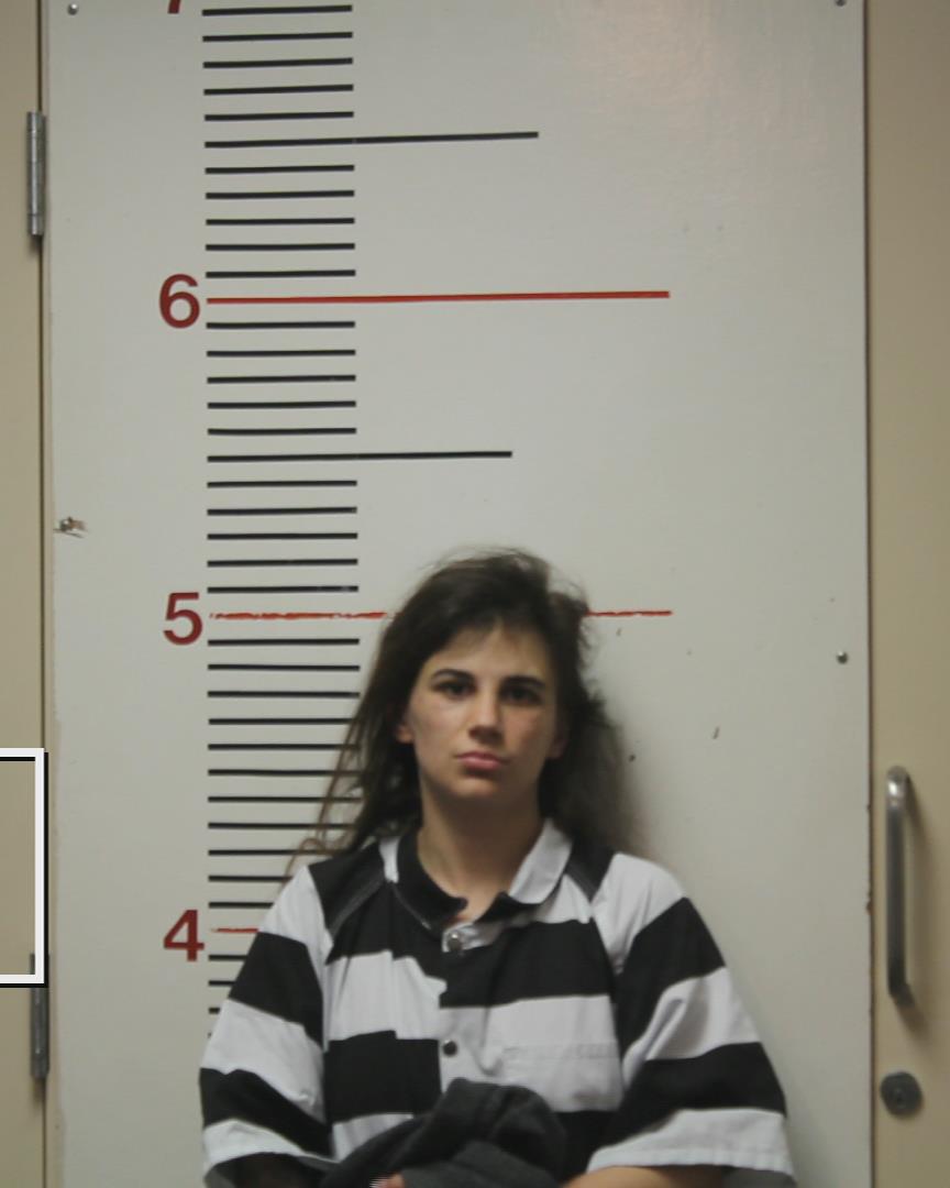 FIELDS, KATI ELIZABETH booking photo