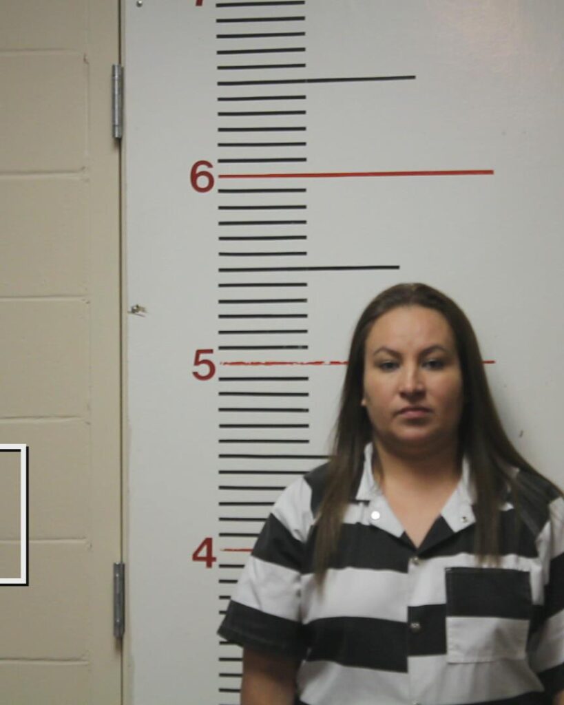 VEEVERS, EVELIN VIOLETA booking photo