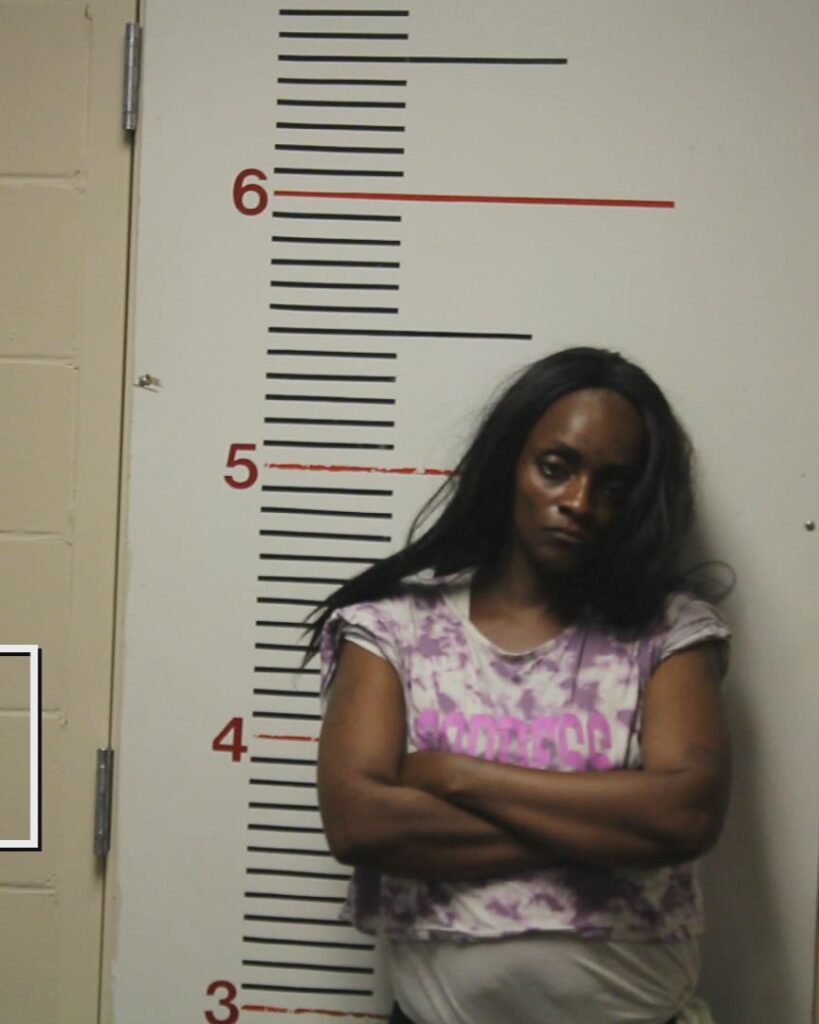 THOMPSON, AMANDA NICOLE booking photo