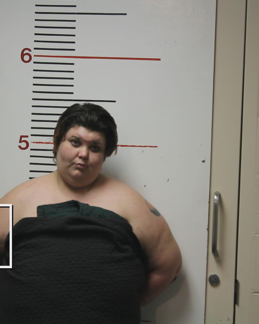 HAGUE, TERESA ILEAN booking photo