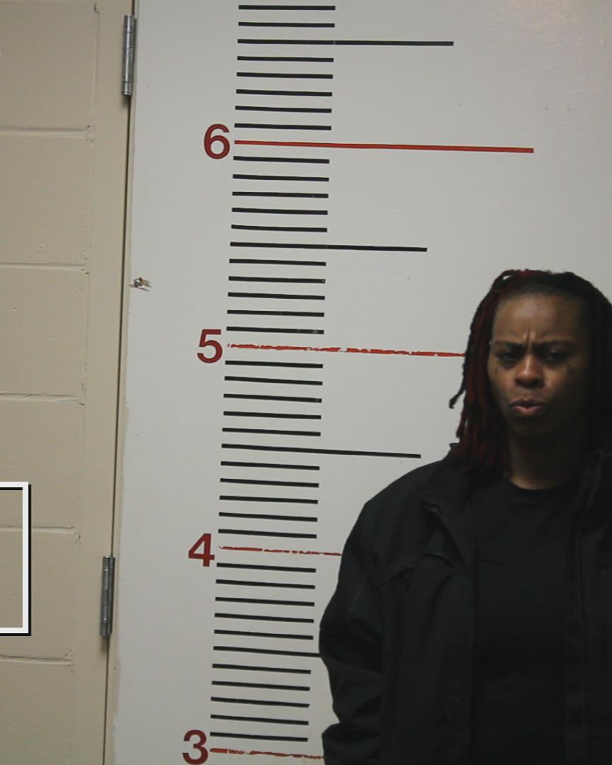 PAGE, BROOKE booking photo