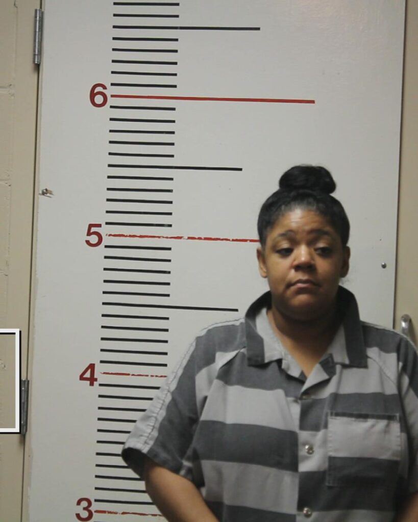 FRY, CANETTE TANEL arrested in Anderson County, Texas mugshot