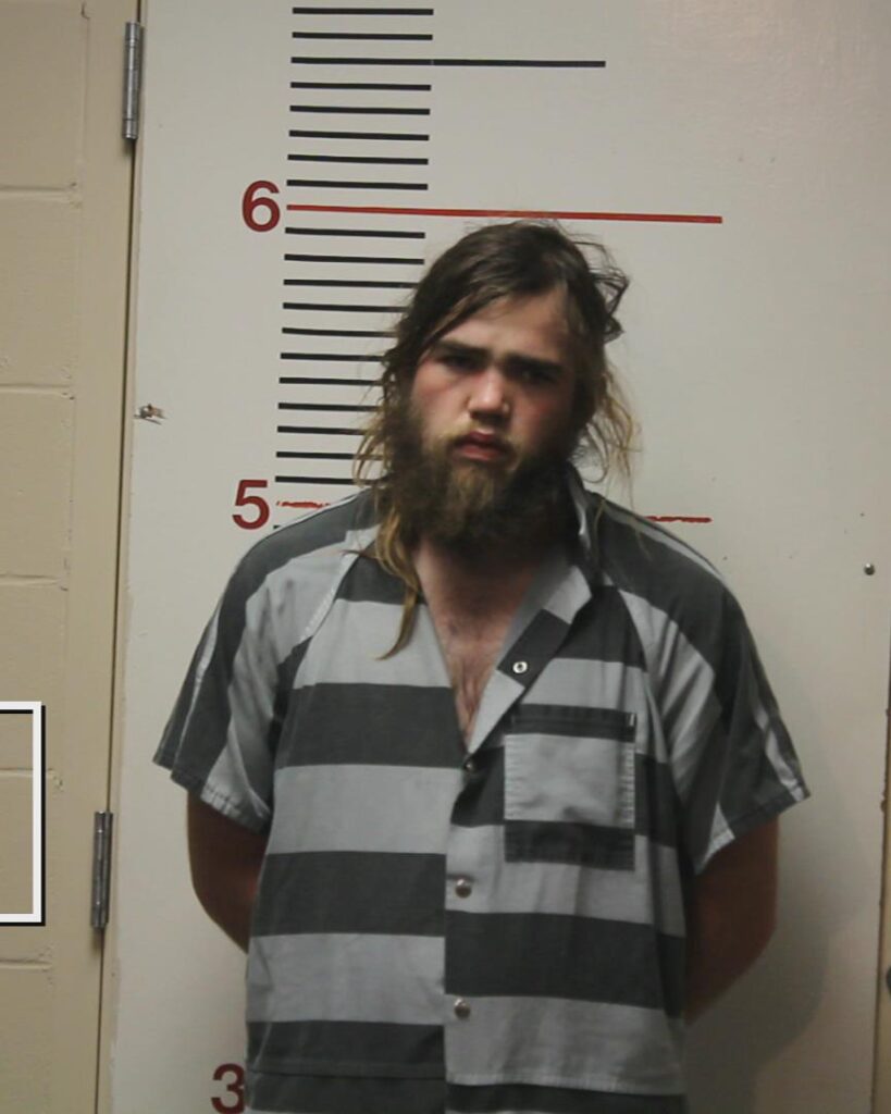 PITTS, ALEX WAYNE arrested in Anderson County, Texas mugshot
