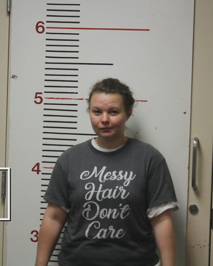 WILLIS, KOLBY LOREN arrested in Anderson County, Texas mugshot