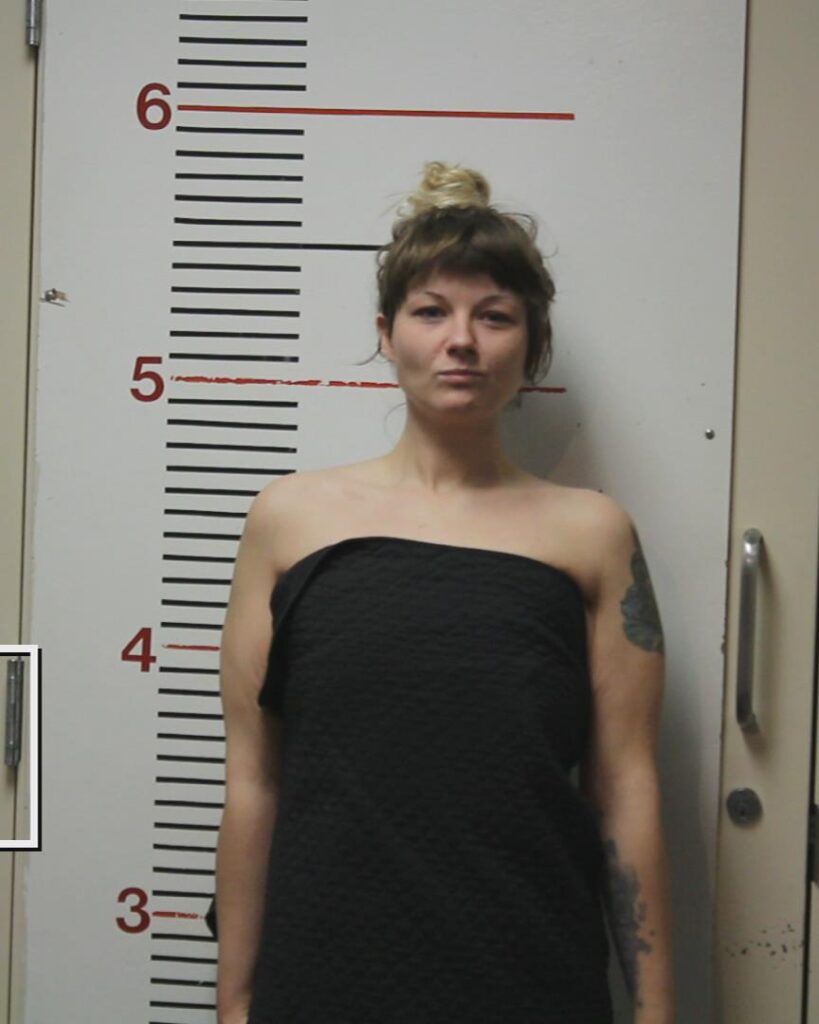 LUMAN, SARAH LYNN arrested in Anderson County, Texas mugshot