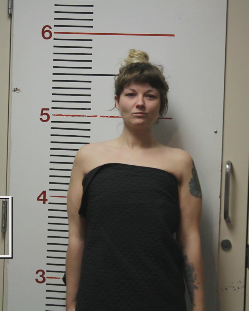 LUMAN, SARAH LYNN booking photo