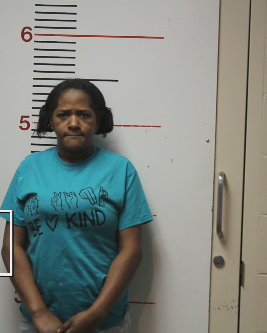 PIPKIN, NATALIE NICOLE booking photo