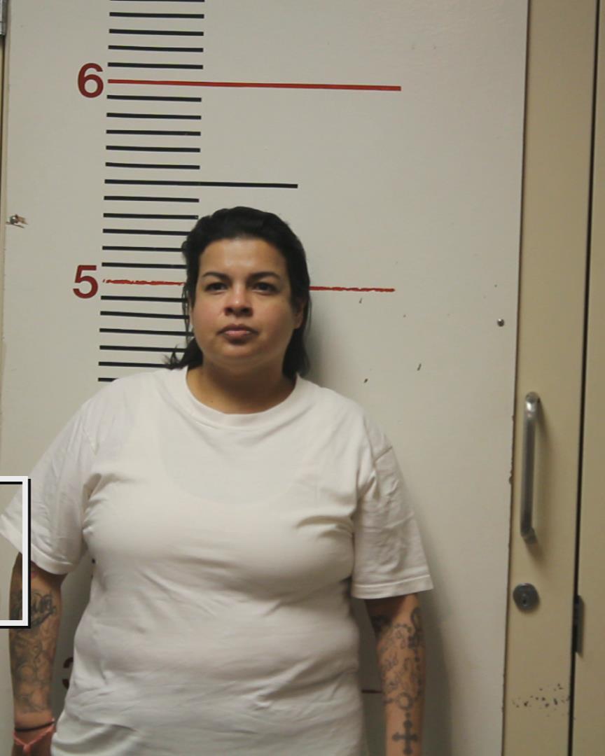 LANDIN, ELIZABETH ANN booking photo