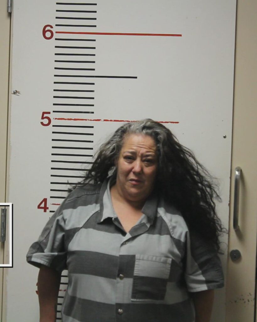 HAYS, GAYLE LYNN booking photo