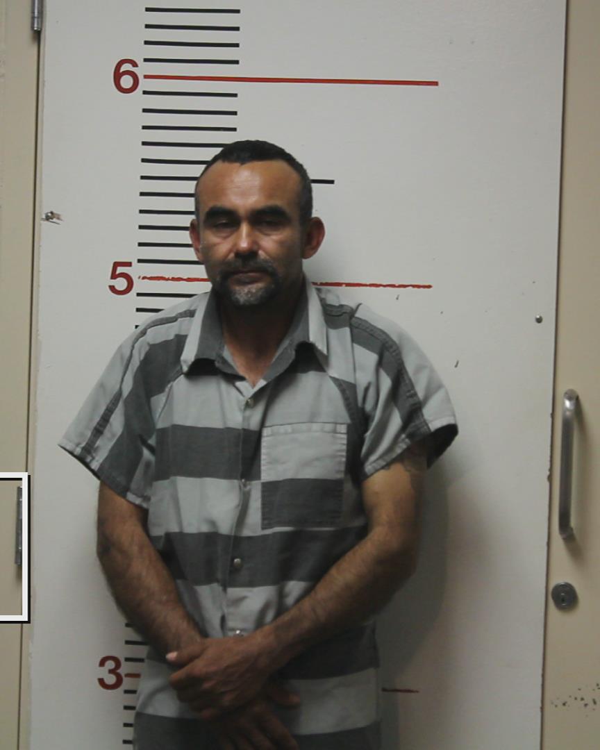 VIANA, RAUL ERNESTO booking photo