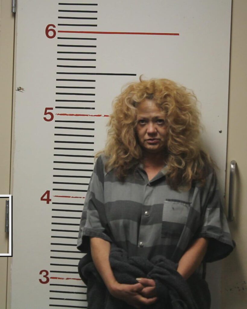 CONN, LESLIE ANN booking photo