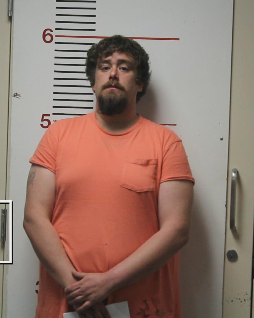 BAILEY, DAVID ARRON booking photo