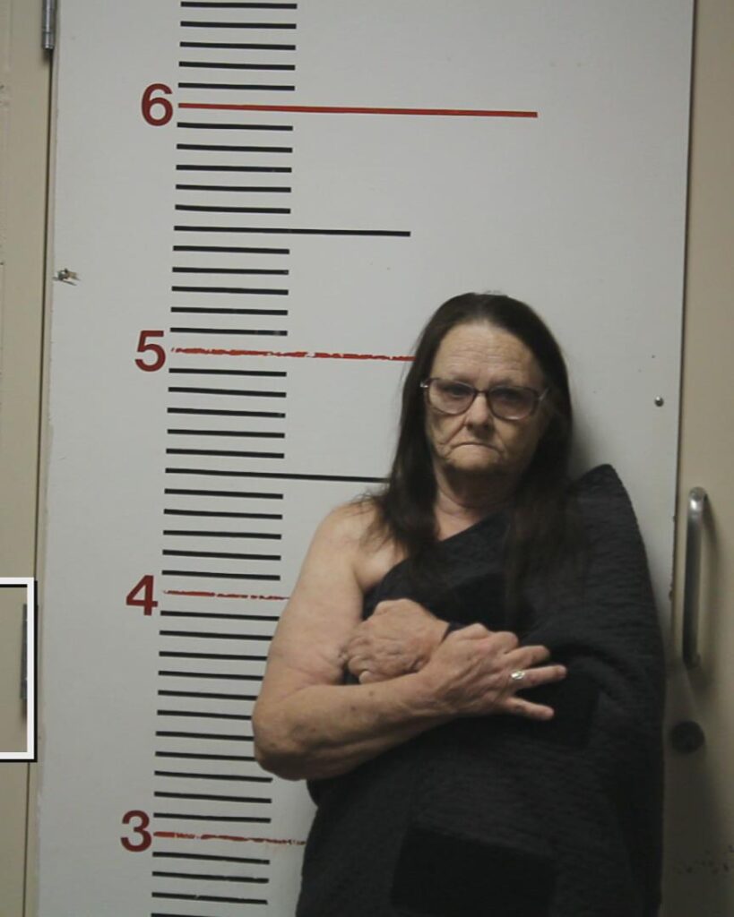 DANCER, DEBORAH ANN booking photo