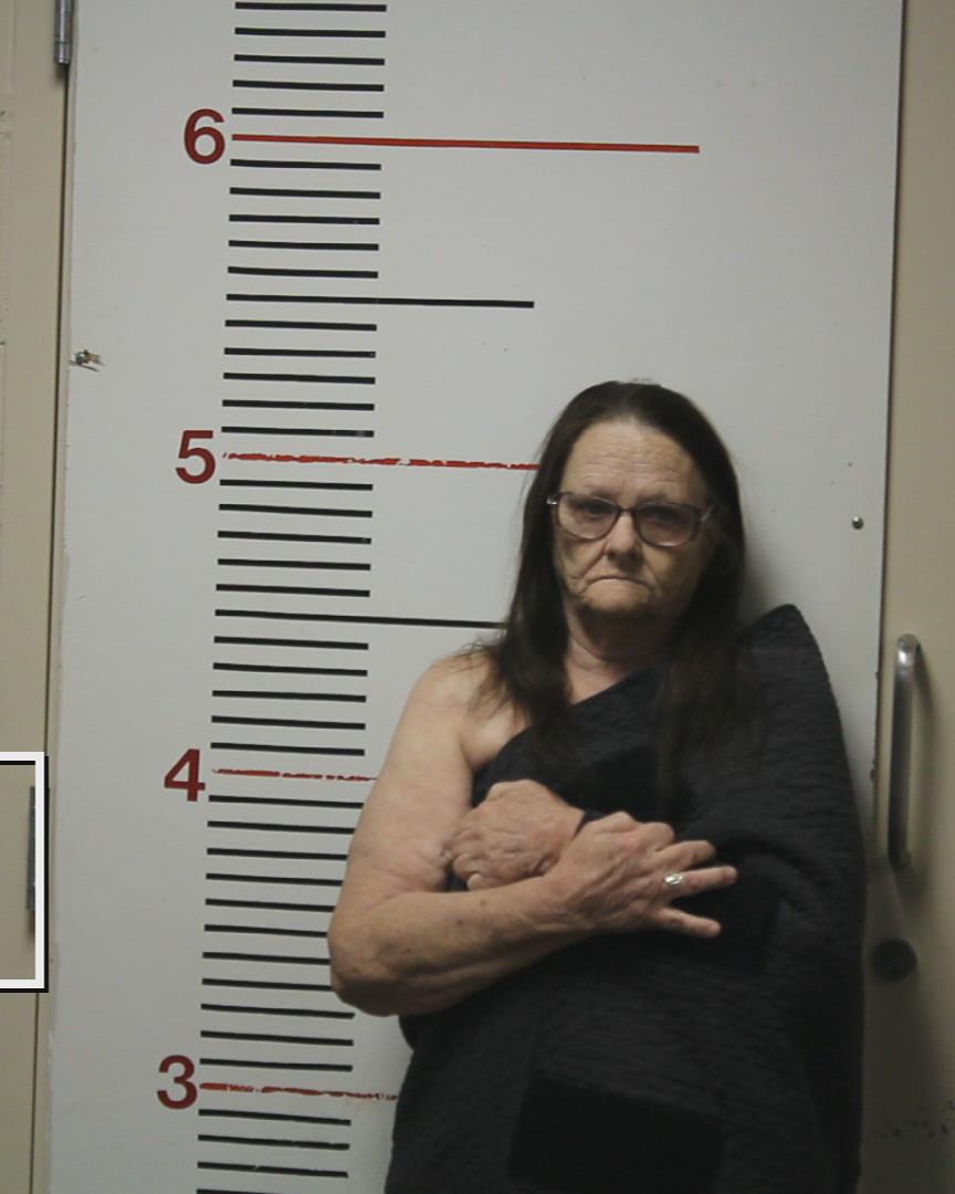 DANCER, DEBORAH ANN booking photo