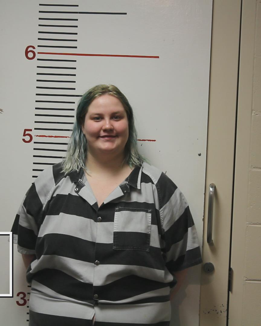 COLLINS, ANGELA NICOLE arrested by Palestine Police Dept.