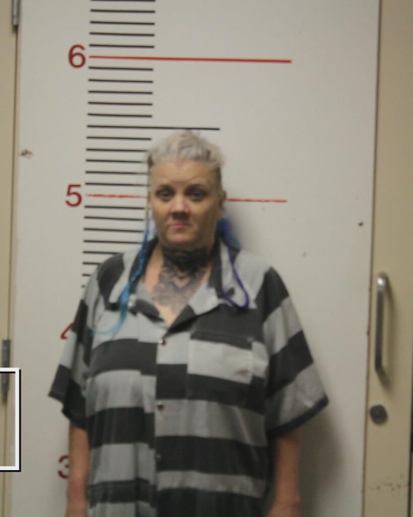 BYERLY, TARA LYNN booking photo