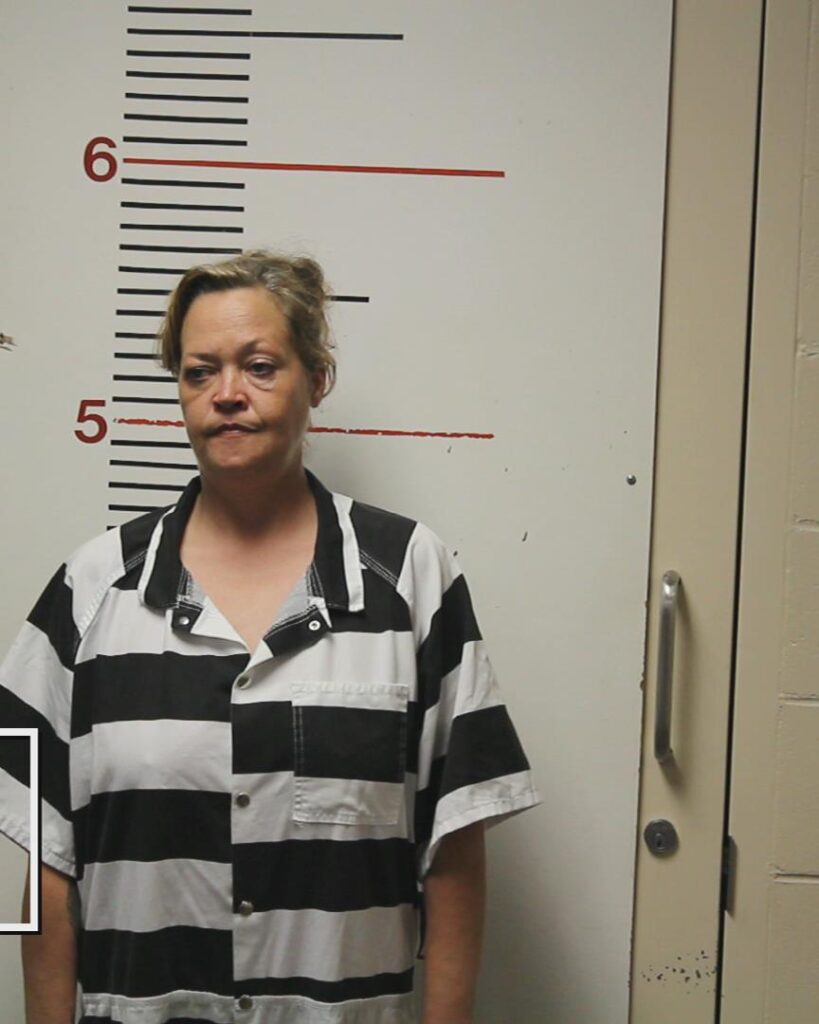 ELOM, CHASITY LYNN booking photo