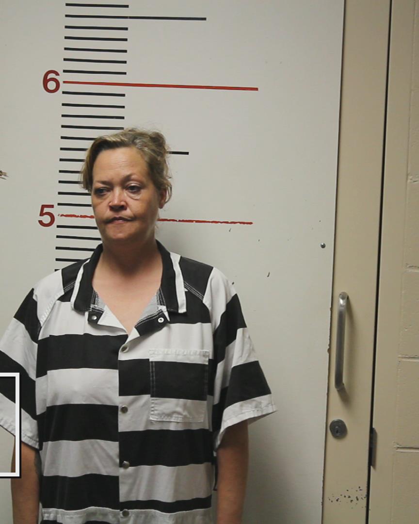 ELOM, CHASITY LYNN booking photo