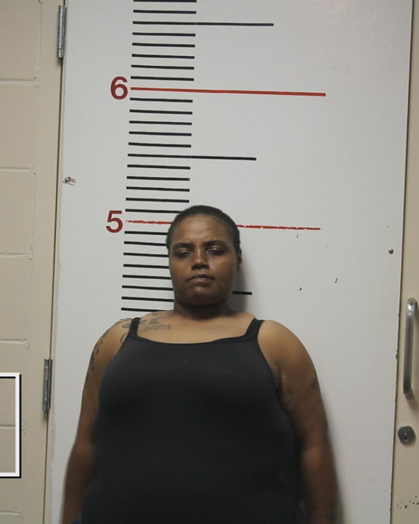 SMITH, CINAMON ALEXANDRA booking photo