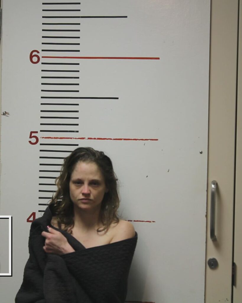 ANDREWS, HANNAH NICOLE booking photo