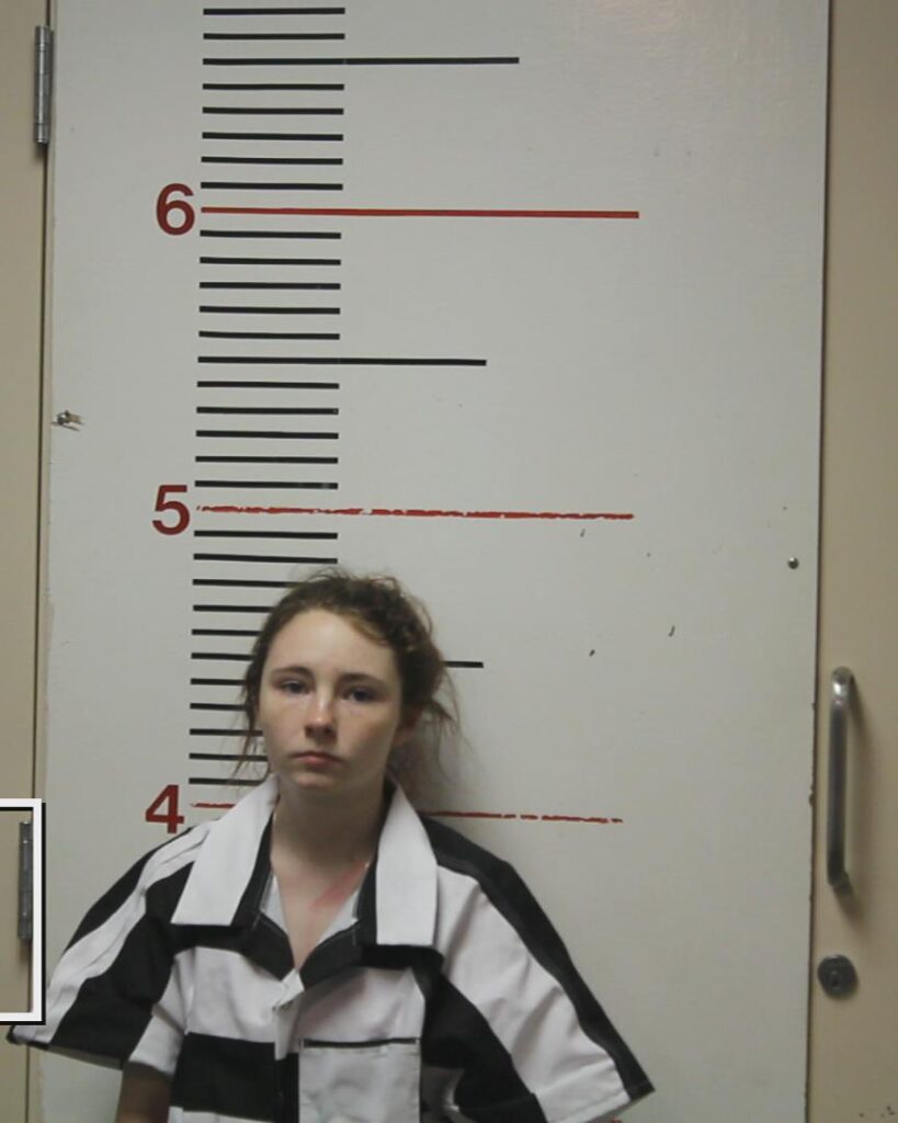 PHILLIPS, DESTINEY AUTUMN booking photo