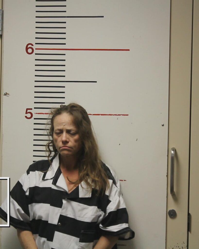 LINDERMAN, JANNA ANELL booking photo