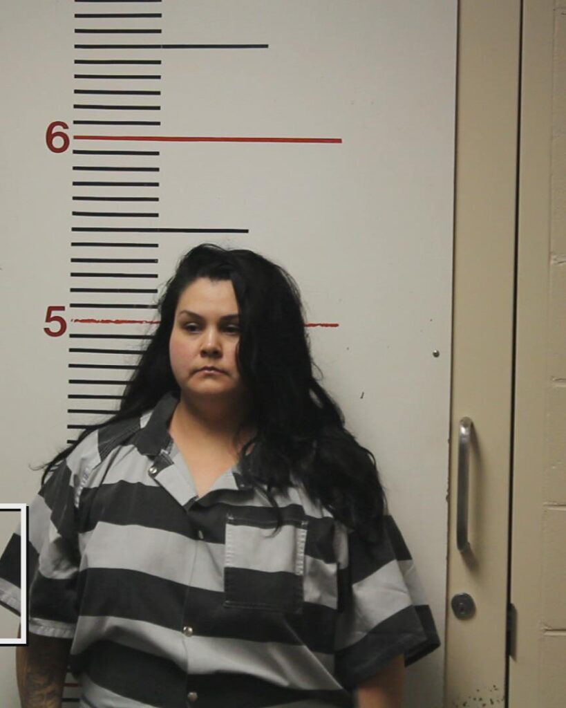 HEDGE, ALEXANDRA ELIZABETH booking photo