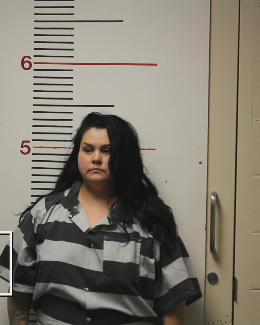 HEDGE, ALEXANDRA ELIZABETH booking photo