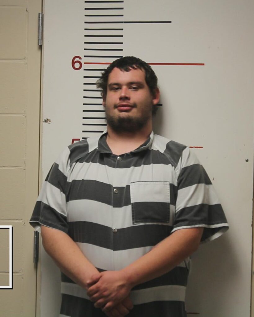 LINDSEY, AUSTIN DAMION booking photo