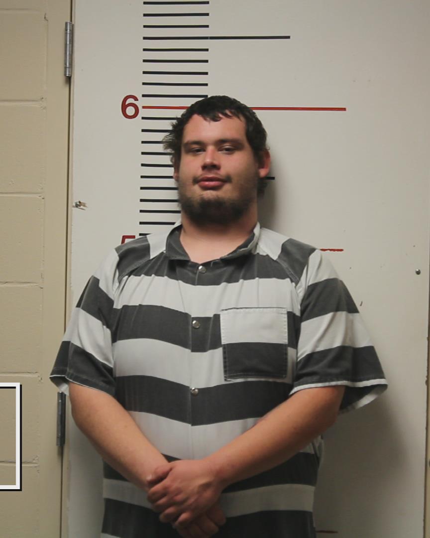 LINDSEY, AUSTIN DAMION booking photo