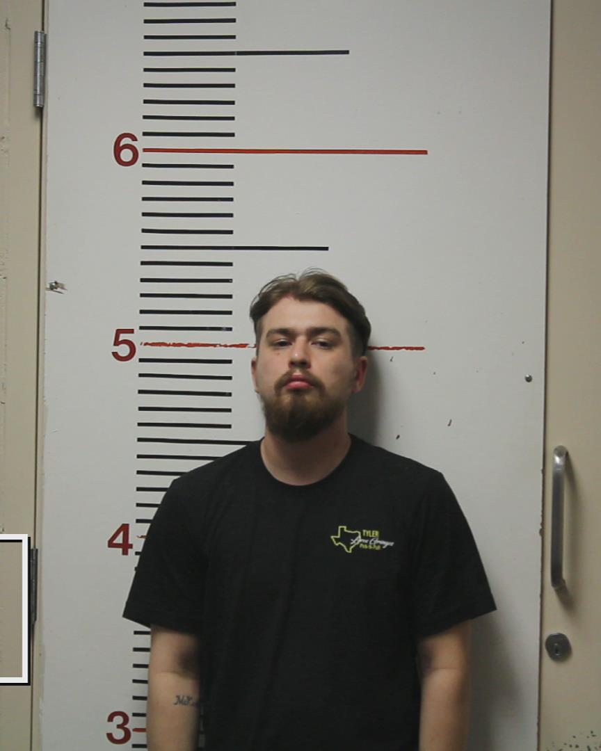 MCKEETHAN, DAVID PAUL, Jr. booking photo