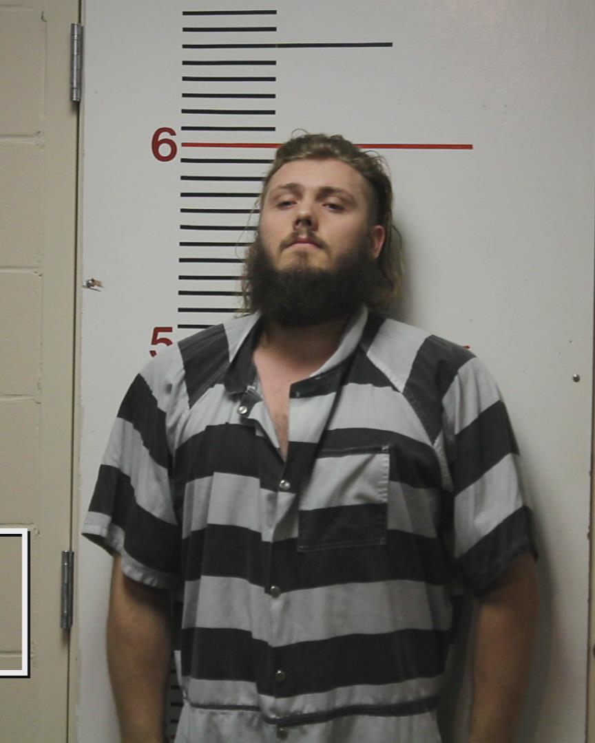 PLATT-WARNER, ANTHONY JAMES booking photo