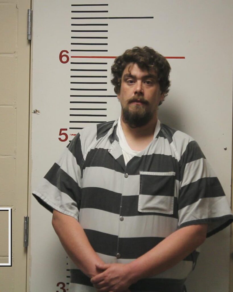 BAILEY, DAVID ARRON booking photo