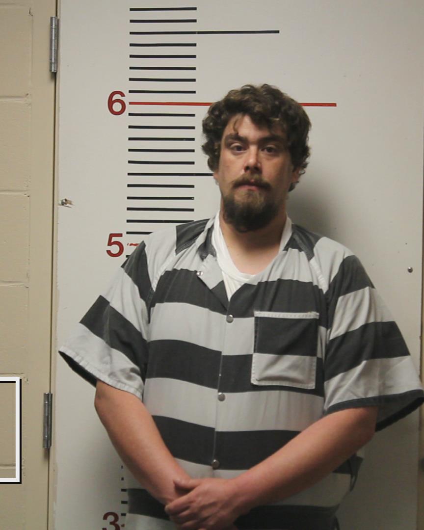 BAILEY, DAVID ARRON booking photo