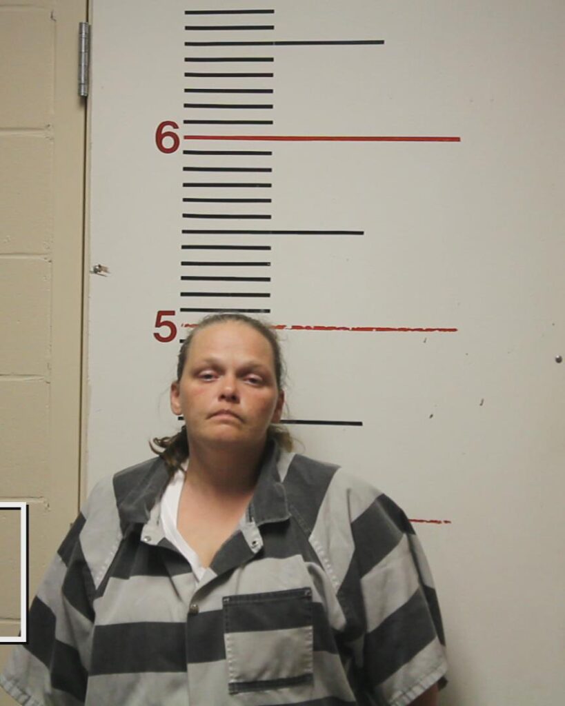 CREEL, FELICIA LYNN booking photo