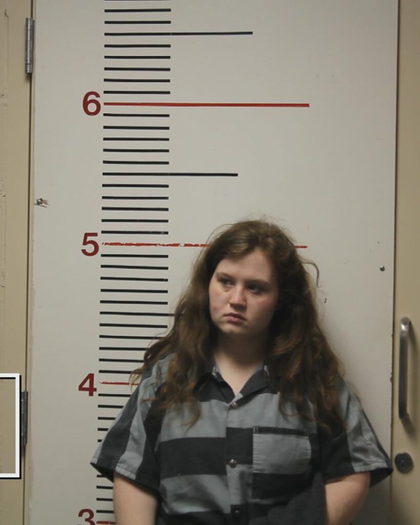 SHIPP, ERIN MICHELLE booking photo