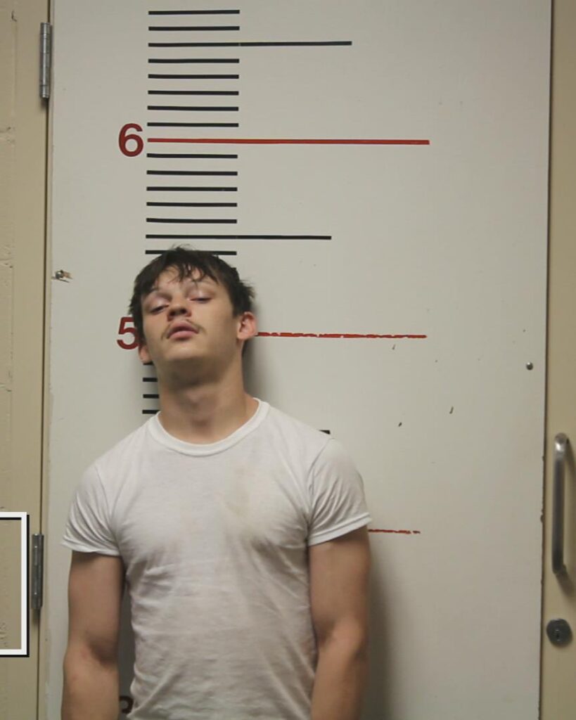 POLK, BRANDON ALEXANDER booking photo