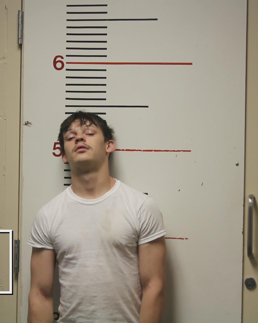 POLK, BRANDON ALEXANDER booking photo