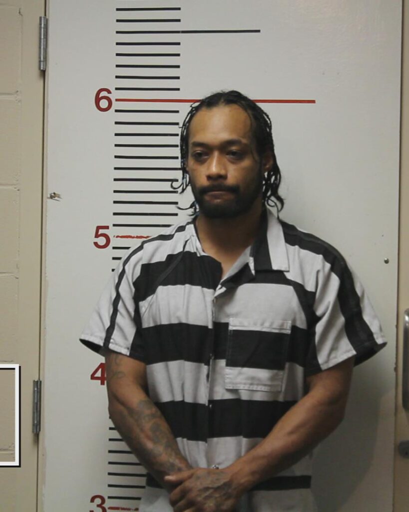 ORTEGA, ARMANDO, Jr. booking photo