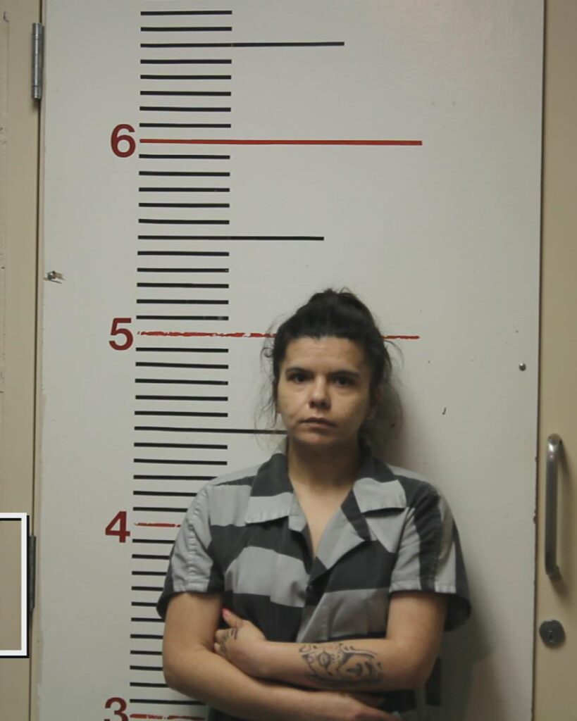 STAHL, ASHLEY AMBER booking photo