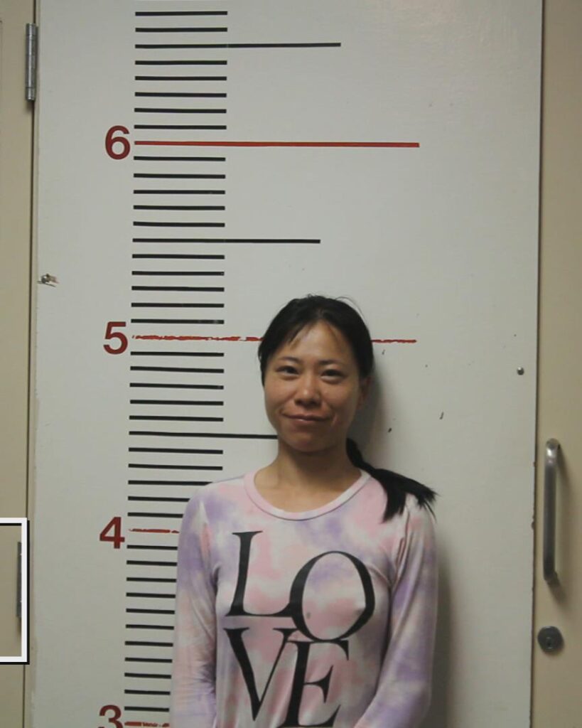 MENGMENG, CHENG booking photo
