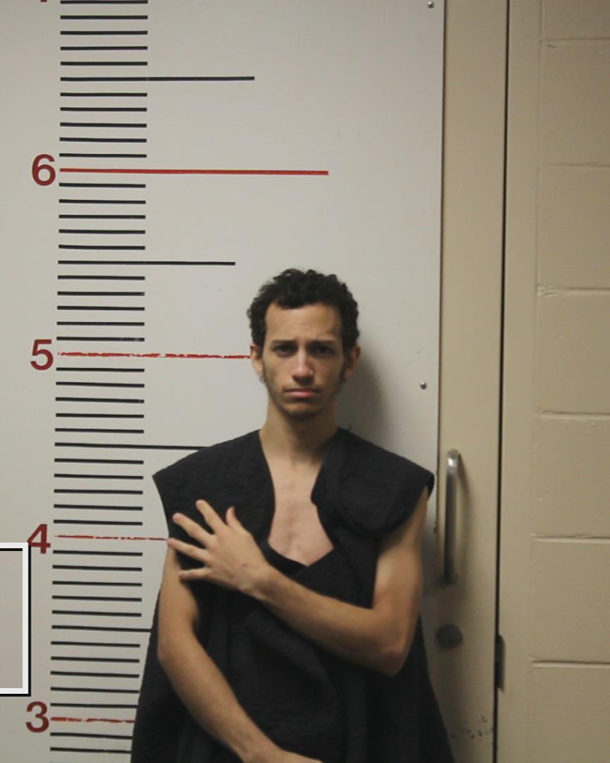 BUTCHER, WILLIAM ERNEST booking photo