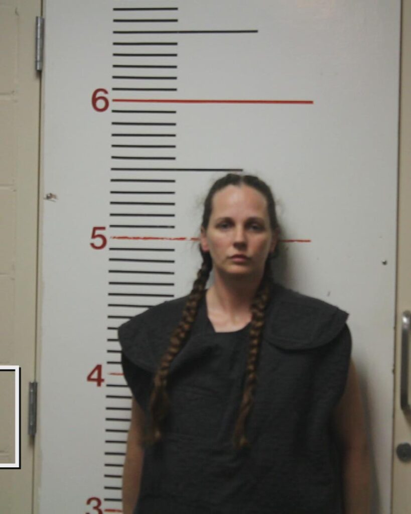 NOLAND, TIFFANIE JILL booking photo