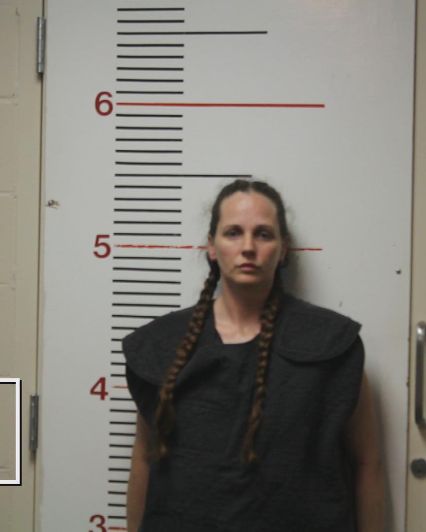 NOLAND, TIFFANIE JILL booking photo