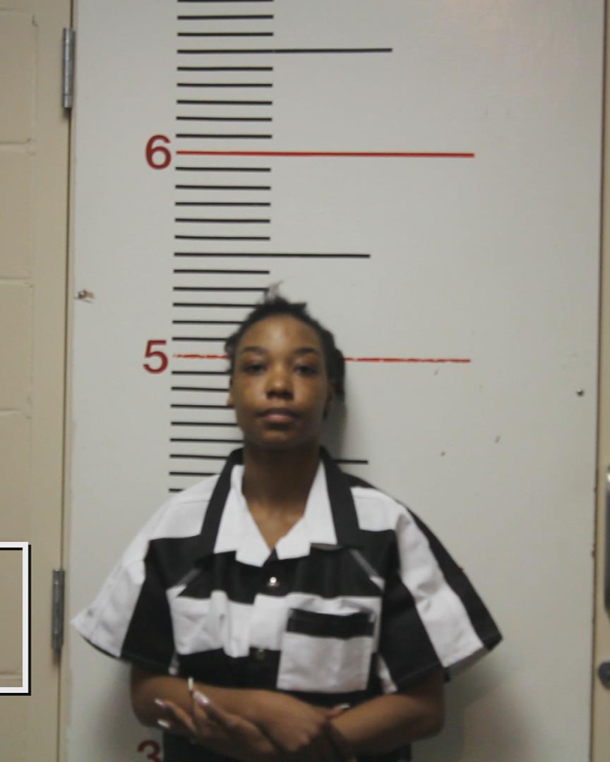 HAMPTON, MELISSIE MAE booking photo