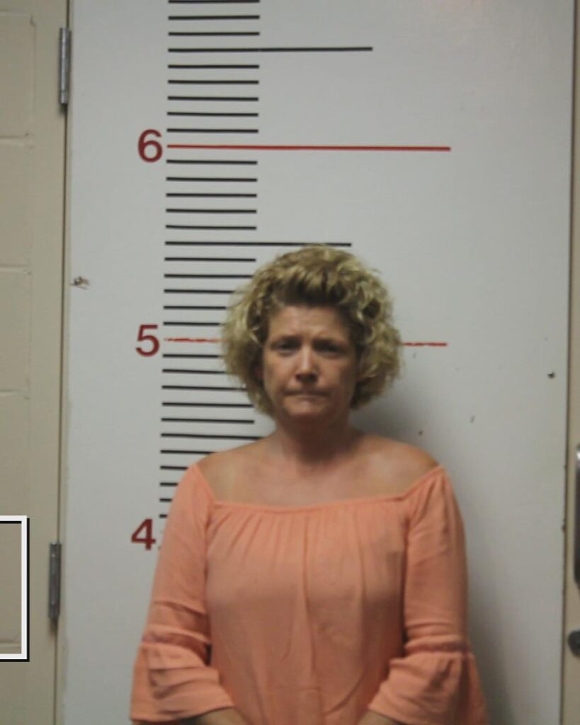 HAYS, ERIN ELIZABETH booking photo