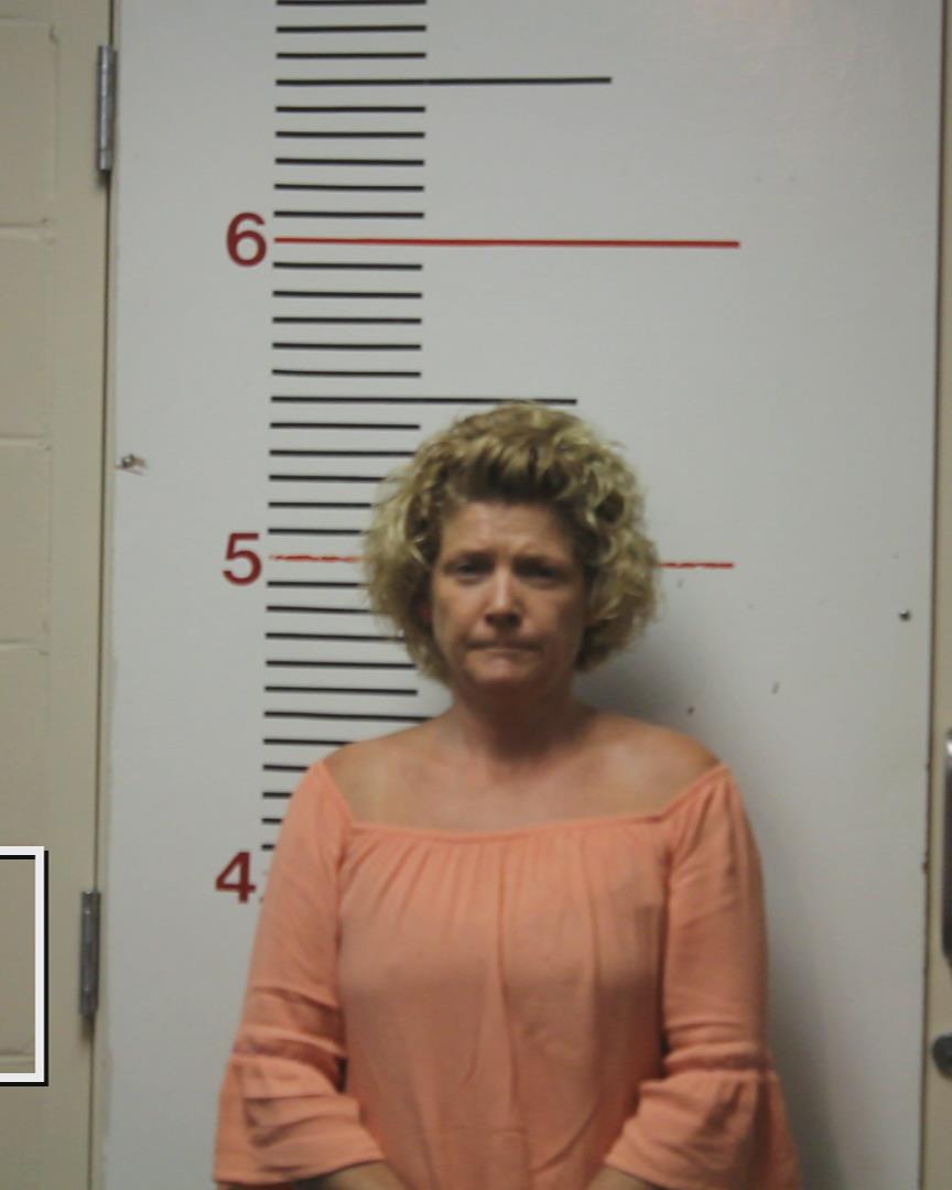 HAYS, ERIN ELIZABETH booking photo